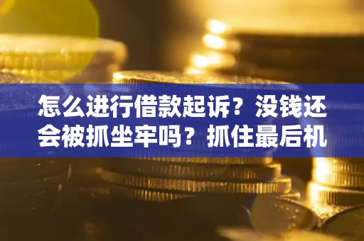 济南怎么进行借款起诉？没钱还会被抓坐牢吗？抓住最后机会！