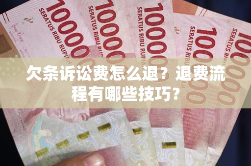 济南欠条诉讼费怎么退？退费流程有哪些技巧？