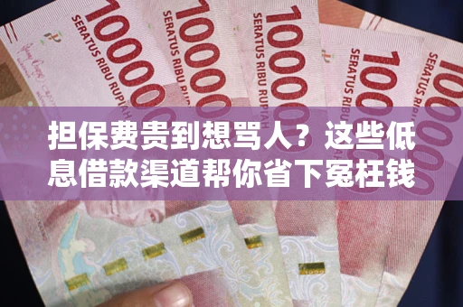 济南担保费贵到想骂人？这些低息借款渠道帮你省下冤枉钱