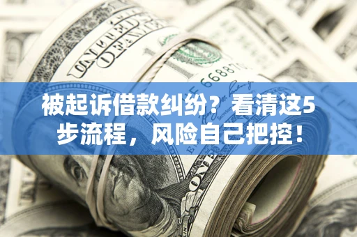 济南被起诉借款纠纷？看清这5步流程，风险自己把控！